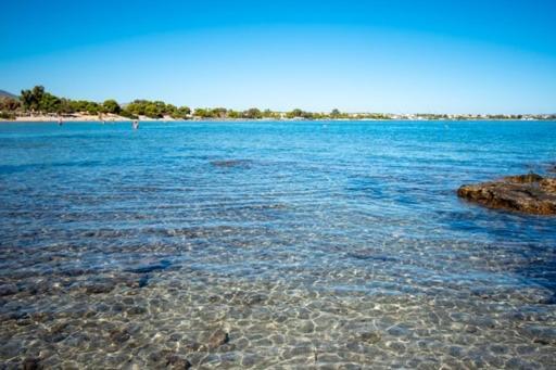 Lavish & Spacious Apt With Stunning Seaview, 10 Min Ath Airport Artemida  Buitenkant foto